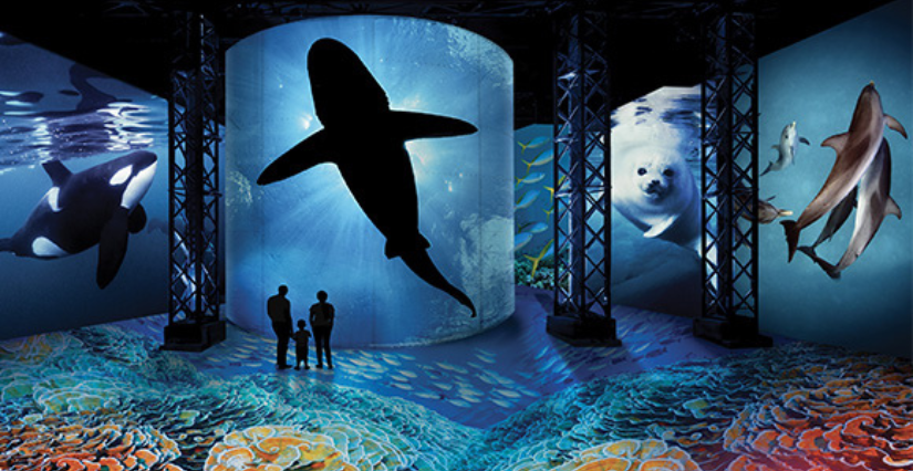 Exposition "Océans, l'Odyssée immersive" pour plonger en famille à l'Atelier des Lumières