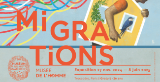 L'exposition "Migrations, une odyssée humaine", à visiter en famille au Musée de l'Homme