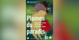 Exposition "Plumes du paradis" au musée du quai Branly - Jacques Chirac, Paris 7e