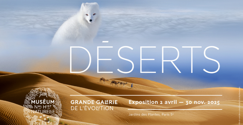 Expo Déserts en famille à Paris