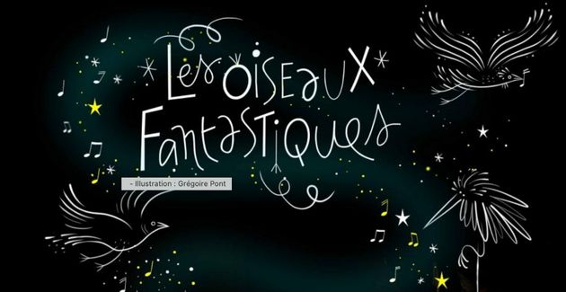 oiseaux fantastiques