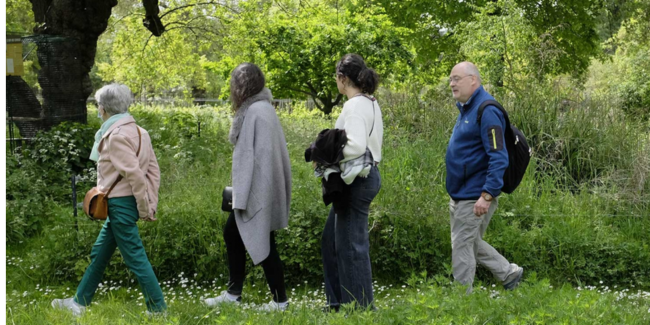 RDV nature de l'été : Visite guidée du Jardin écologique, au Jardin des Plantes