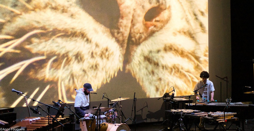 Ciné-concert "La Fête Sauvage ", en famille, à la Philharmonie de Paris