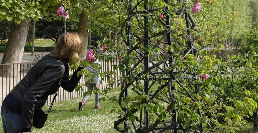"Nez au vent dans le jardin" : visite découverte en famille du Jardin des Plantes, à Paris 5e