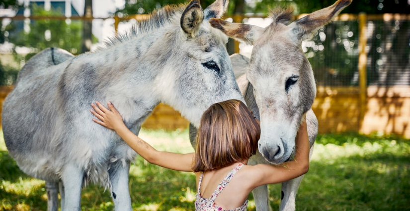 La Ferme de la Villette : une sortie nature pour les familles, au cœur de Paris 19e