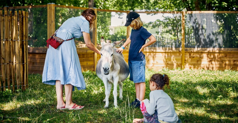 Atelier nature "Les Matins Fermiers" à La Ferme de la Villette, Paris 19ᵉ