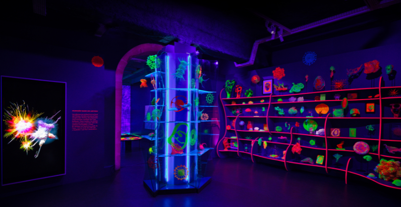 Exposition "Digital Abysses" : à vivre en famille au Musée en Herbe, à Paris 1er.