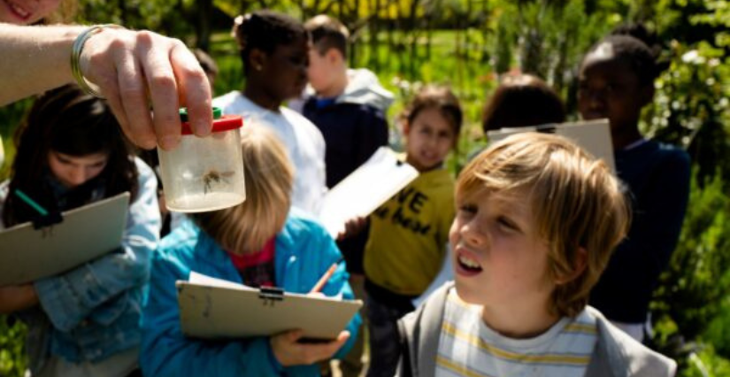 Atelier "Les insectes jardiniers" : pour les 6-10 ans, aux Jardins passagers de La Villette - Paris 19e