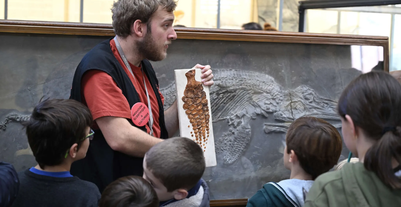 Visite guidée en famille de la Galerie de Paléontologie et d'Anatomie comparée à la Grande Galerie de l’Évolution, Paris 5e