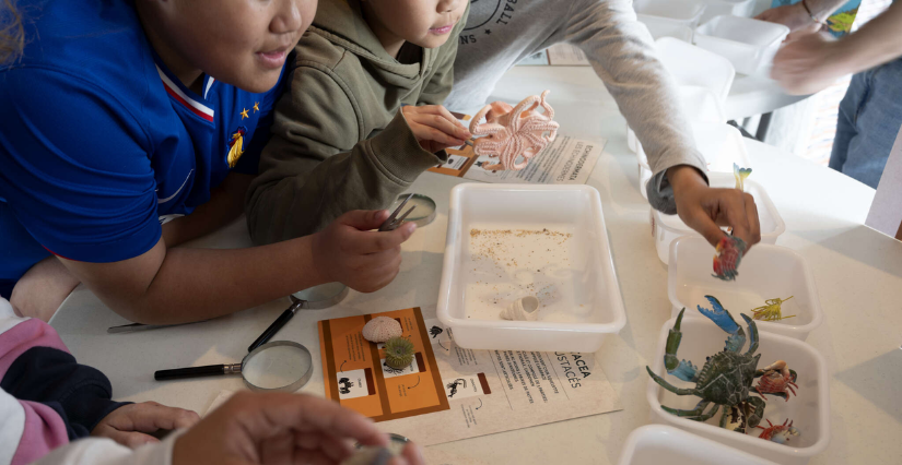 Atelier "Les jeunes explorateurs revisitent la planète" à la Grande Galerie de l’Évolution, Paris 5e