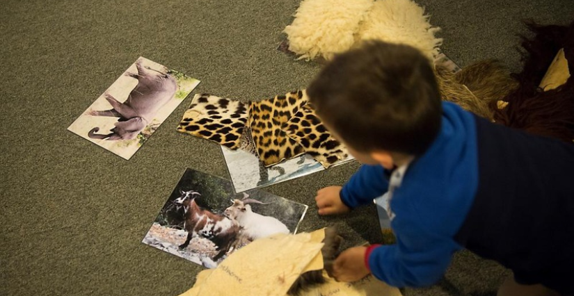 Atelier des petits "Du bout des doigts" à la Grande Galerie de l’Évolution, Paris 5e