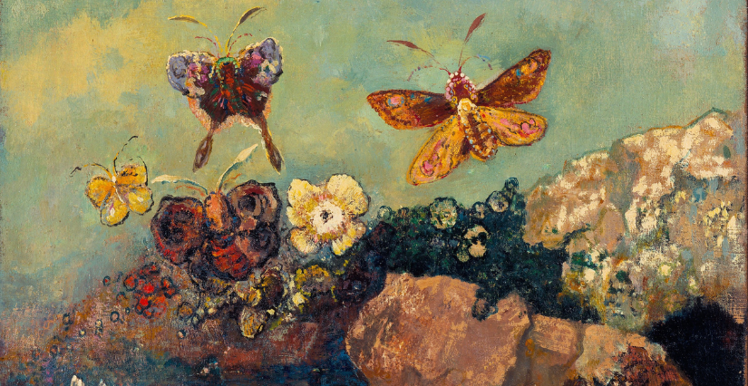 Atelier créatif "Les papillons d'Odilon Rédon" à la Grande Galerie de l’Évolution, Paris 5e