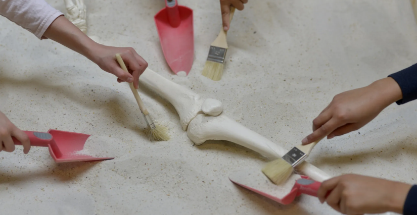 Atelier "Archéo Momias" en famille au Musée de l'Homme, Paris 16e