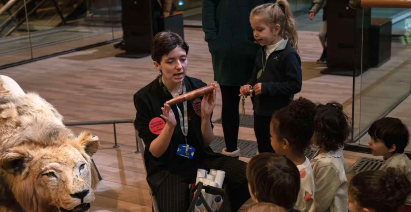 Visite des petits "À qui est cette dent ?" à la Grande Galerie de l’Évolution, Paris 5e