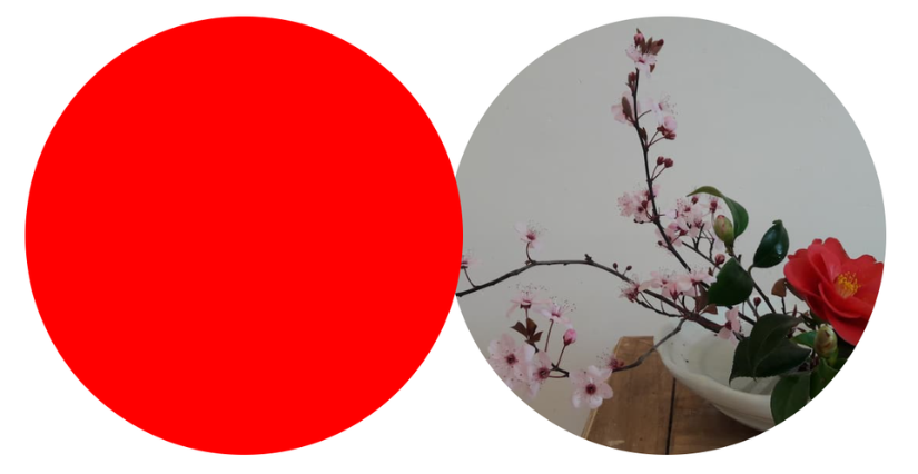 Atelier "Compose un mini ikebana" dès 8 ans à la Maison de la culture du Japon à Paris 15ᵉ