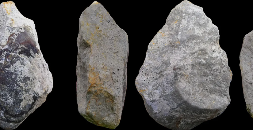 Rencontre "Quelles traces ont laissé les premiers Européens ?" au Musée de l'Homme, Paris 16e