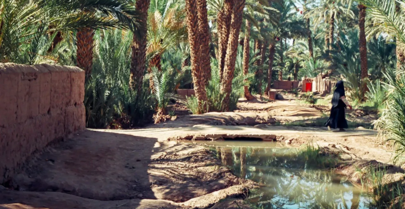 Rencontre "Peut-on domestiquer une oasis ?" en famille au Musée de l'Homme, Paris 16e