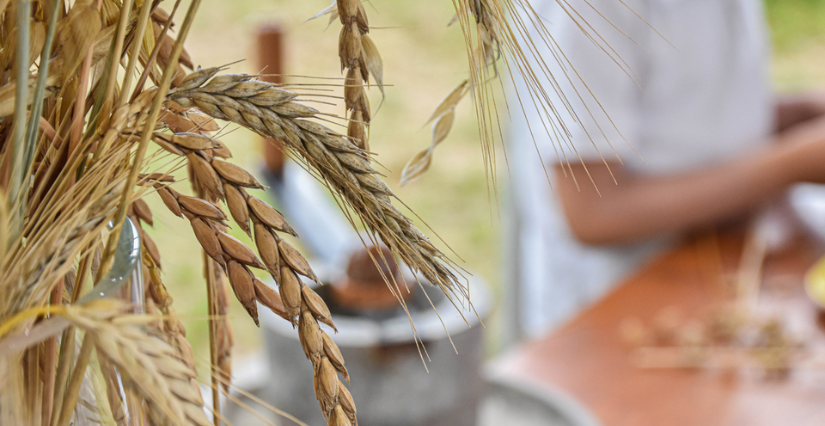 Atelier "L'eau à la ferme, et découverte de la mare écologique" pour les vacances d'été à la Ferme de Paris 12e