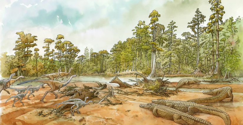 Animation "​Les secrets enfouis des fossiles" à la Grande Galerie de l’Évolution, Paris 5e