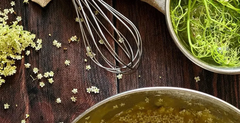 Atelier "Cuisine végétale" au Jardin des Plantes, Paris 5e