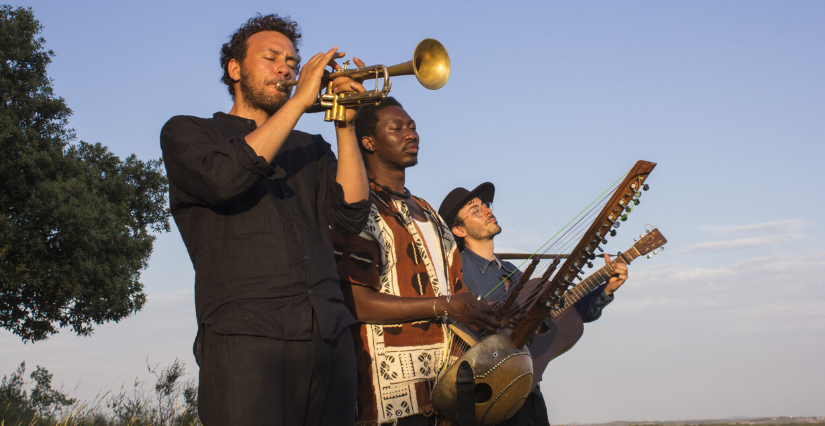 Spectacle musical "Harmattan Brothers" du festival Pestacle au Parc Floral de Paris, 12e