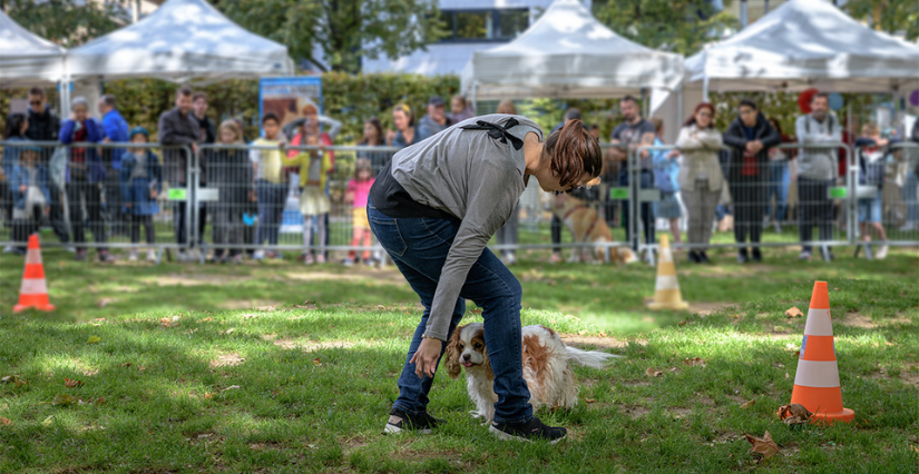 La Fête de l'animal en ville au Parc de Bercy, Paris 12e