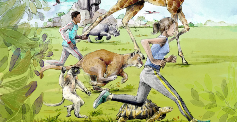 Événement "Paris Zoo Run" au Parc Zoologique de Paris 12ᵉ
