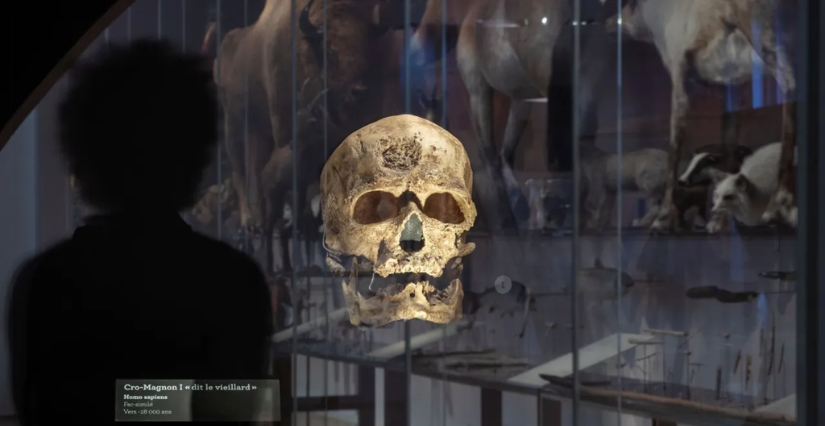 Halloween en famille au Musée de l'Homme, Paris 16e