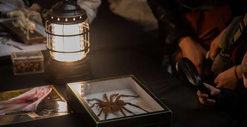 Animation d'Halloween "Même pas peur !" à la ménagerie du Jardin des Plantes, Paris 5e