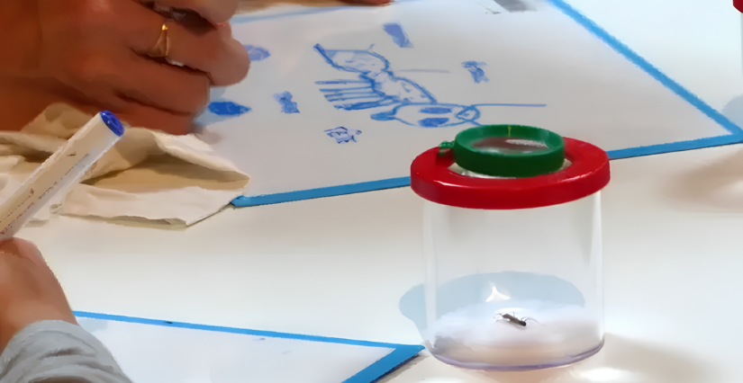 Atelier "Dessine-moi une fourmi", dès 6 ans aux Étincelles du Palais de la Découverte, Paris 15ᵉ