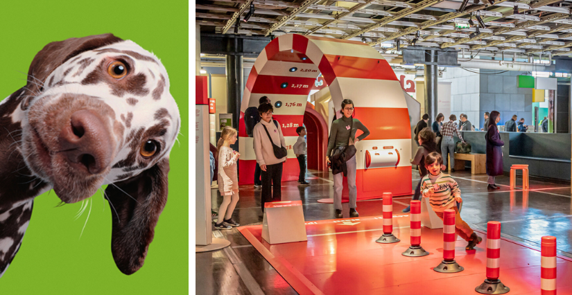 Exposition "Chiens et chats", à la Cité des sciences et de l'industrie, Paris 19ᵉ