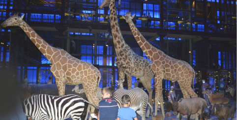 Grande Galerie de l'Évolution, un musée magique pour les enfants, Paris 5ème