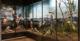 Le musée de la Chasse et de la Nature, une aventure qui se vit en famille