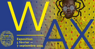 Exposition "WAX", en famille au Musée de l’Homme à Paris 16e