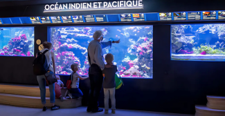 Visites en famille à l'Aquarium Tropical de la Porte Dorée - Paris 12e